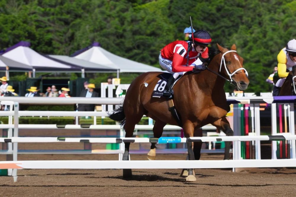 ippodromo-maiameran-behind-the-gates