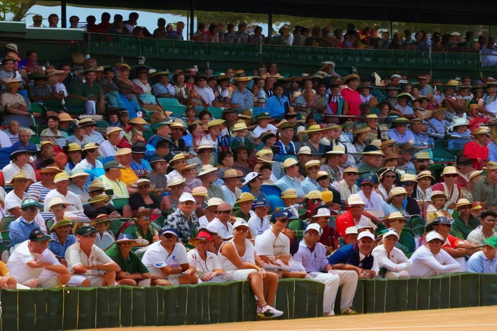 ippodromo-martinicorridonia-how-to-plan-your-vi