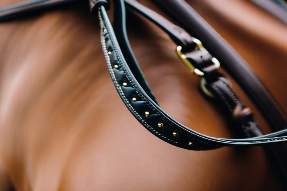 ippodromo-san-paolomontegiorgio-a-must-see-when