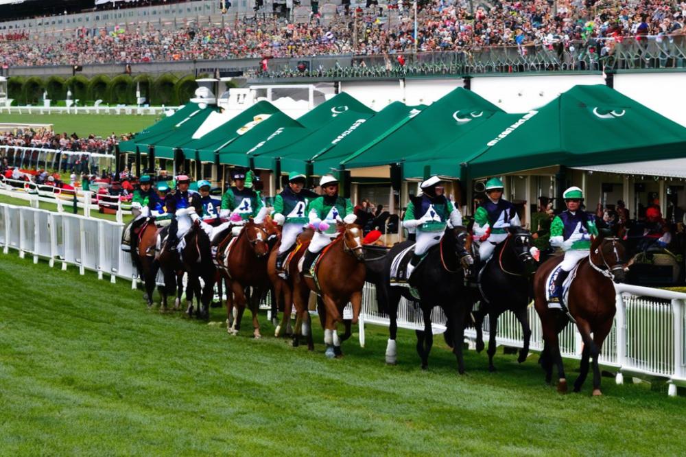 kelso-racecourse-thescottish-borders-how-to-enj