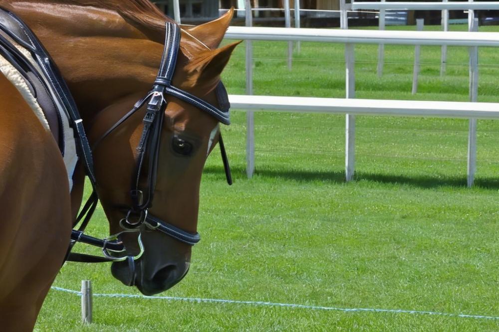 nottingham-racecoursenottinghamshire-a-guide-to