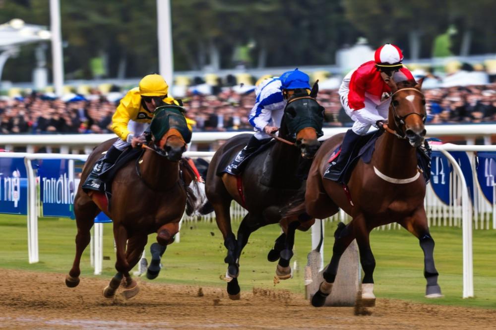 southwell-racecoursenottinghamshire-an-iconic-r