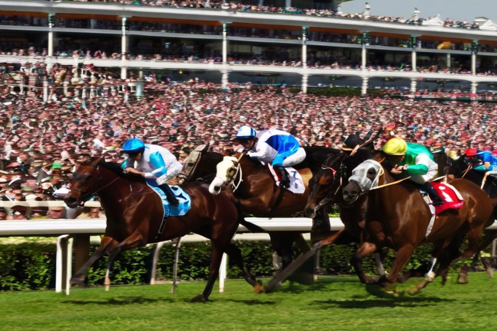 vermoespoo-an-iconic-racecourse