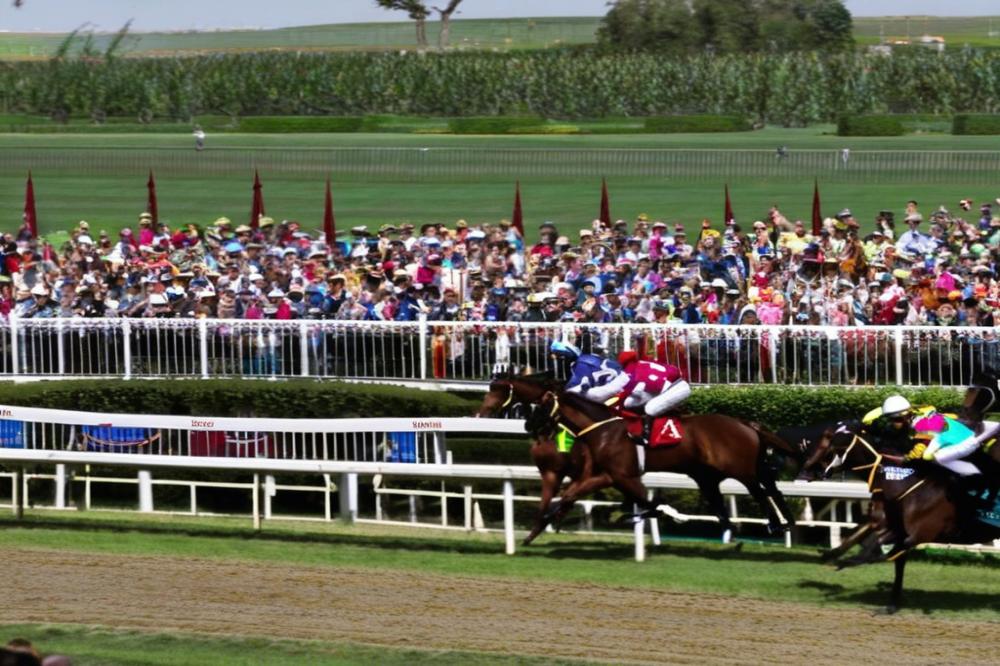 vermoespoo-an-iconic-racecourse