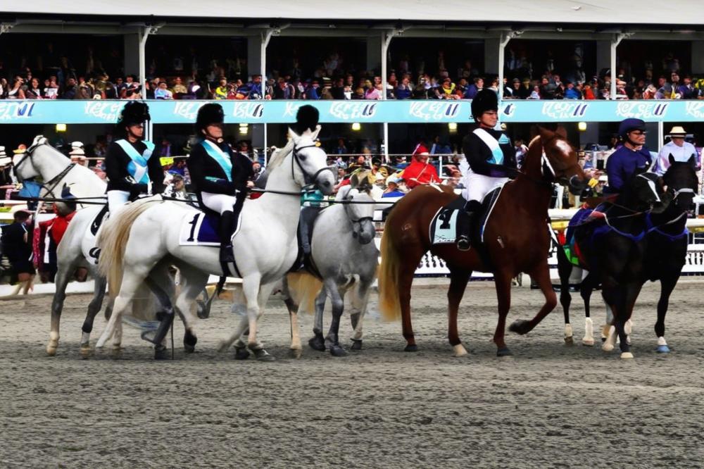 warwick-racecoursewarwickshire-an-evolution-ove