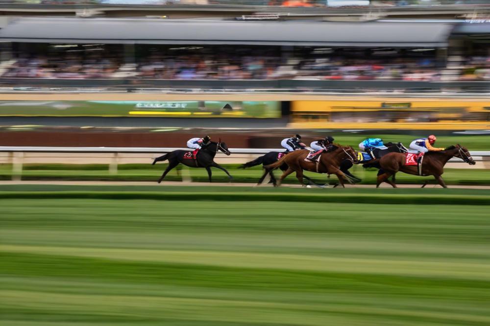 wodonga-racecoursewodonga-victoria-behind-the