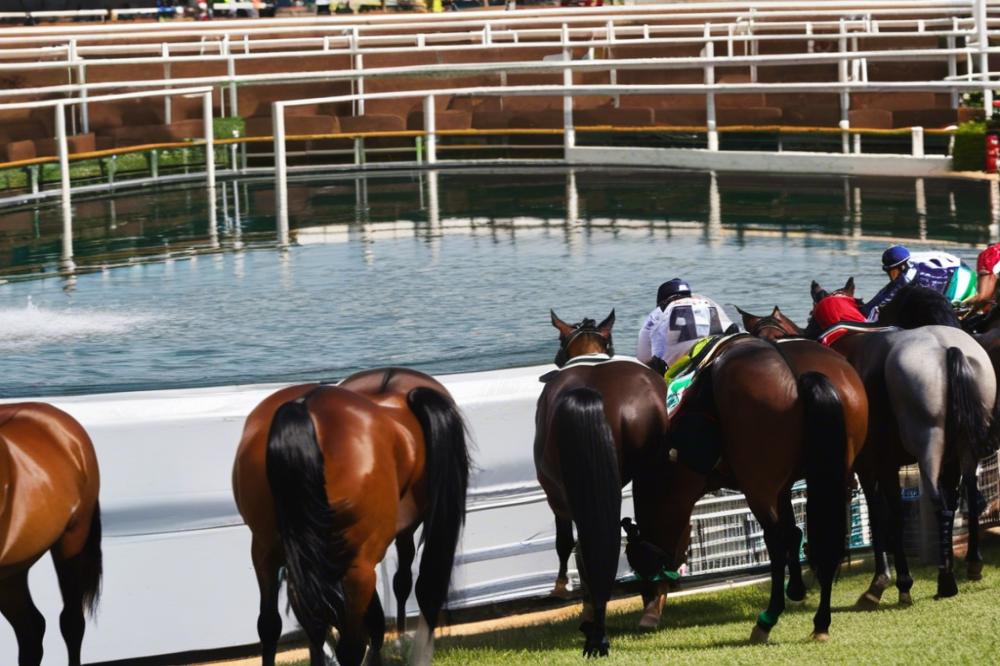 wolverhampton-racecoursewest-midlands-the-cutur