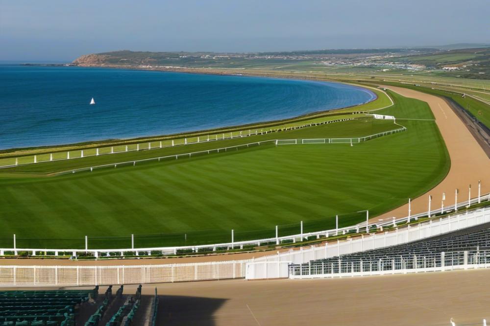 woodbine-racetracktoronto-past-present-and-fut