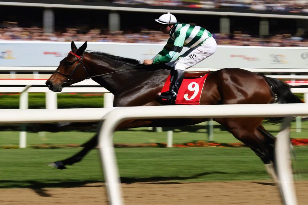 gaulus-who-won-the-melbourne-cup-australia-in-1897