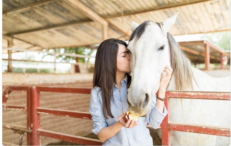 Horse Therapy