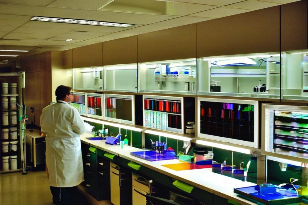 genetic-testing-tools-for-better-breeding-decisio